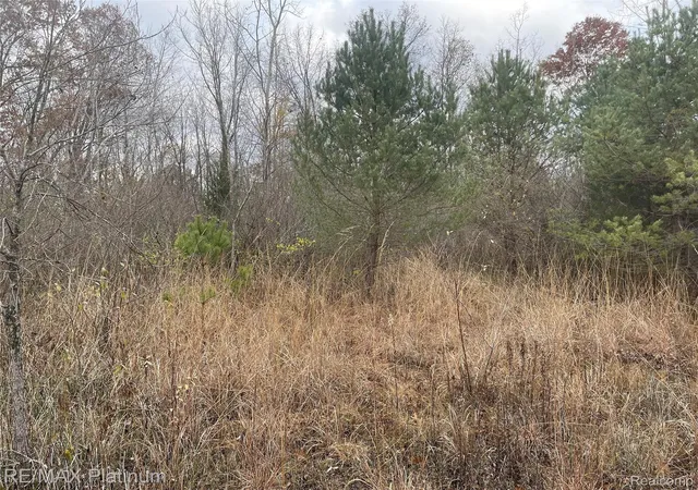 2nd image of 0 Seymour Rd, Linden, MI 48451 | MLS# 20261022141