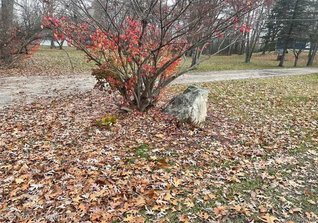 3rd image of 0 Seymour Rd, Linden, MI 48451 | MLS# 20261022141