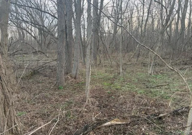 image of 3940 Demode Rd, Holly, MI 48442 | MLS# 20261022550