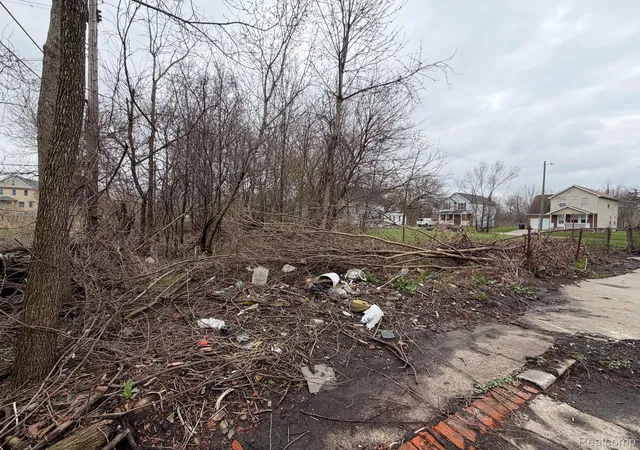 Photo 1 of Land for sale at 2540 W Forest Ave, Detroit, MI 48208 | MLS# 20261022744 | Listing updated on 2026-07-06