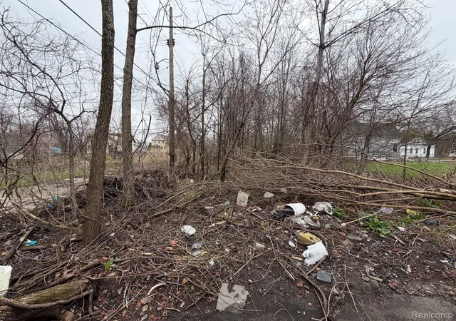 Photo 2 of Land for sale at 2540 W Forest Ave, Detroit, MI 48208 | MLS# 20261022744 | Listing updated on 2026-07-06