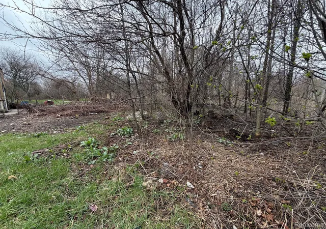 Photo 3 of Land for sale at 2540 W Forest Ave, Detroit, MI 48208 | MLS# 20261022744 | Listing updated on 2026-07-06