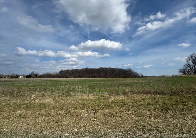 4th image of 0 Briar Hill Rd, Carleton, MI 48117 | MLS# 20261022818