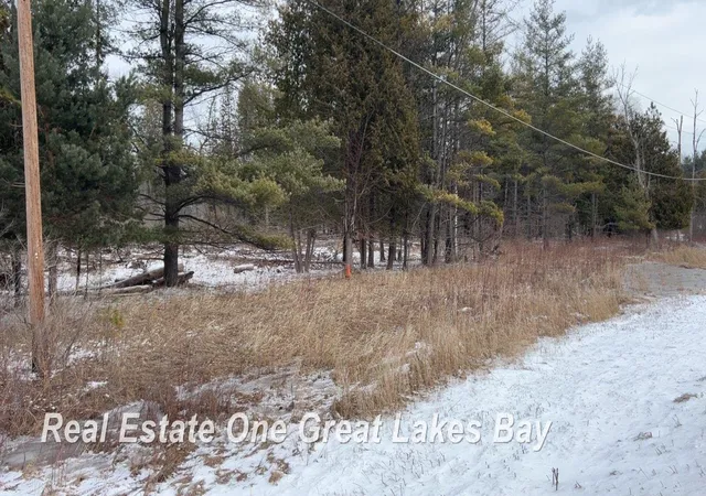 Photo 2 of Land for sale at 0 M 55 Hwy, Tawas City City Iosco, MI 48763 | MLS# 61050203561 | Listing updated on 2026-09-15