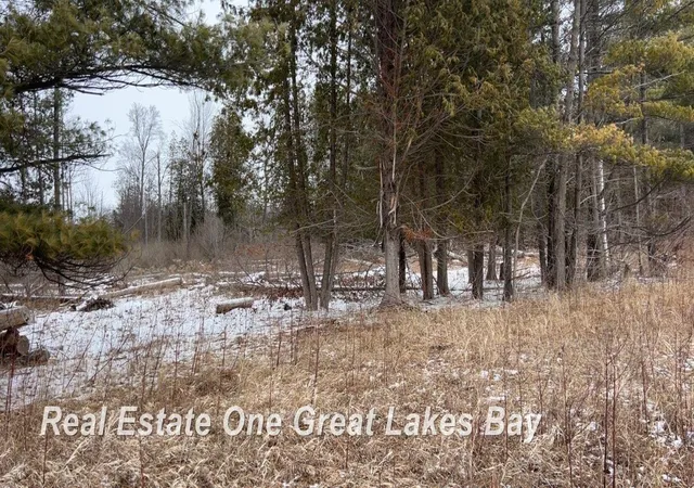 Photo 3 of Land for sale at 0 M 55 Hwy, Tawas City City Iosco, MI 48763 | MLS# 61050203561 | Listing updated on 2026-09-15
