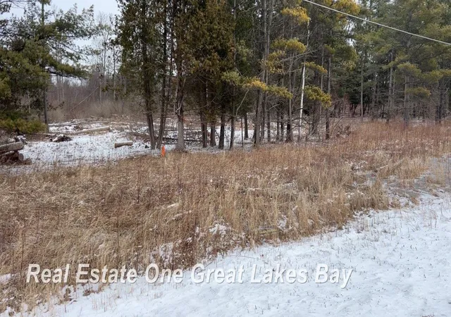Photo 3 of Land for sale at 0 M 55 Hwy, Tawas City City Iosco, MI 48763 | MLS# 61050203561 | Listing updated on 2026-09-15