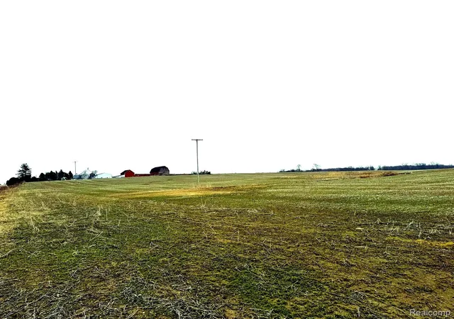 Photo 3 of Land for sale at 00 Sanilac Rd, Juniata Township Tuscola, MI 48741 | MLS# 20261023083 | Listing updated on 2026-07-06
