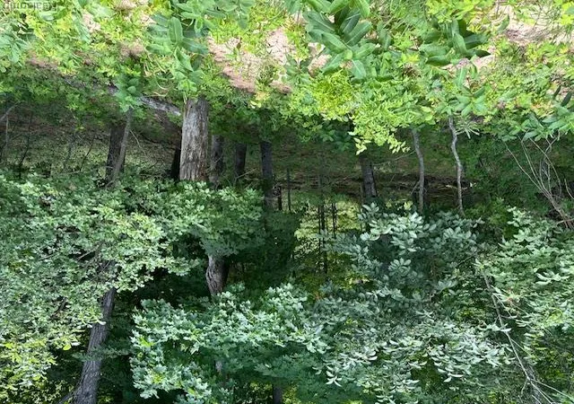 3rd image of Parcel A Lake Bluff Dr, Arcadia Township Manistee, MI 49613 | MLS# 20261023495