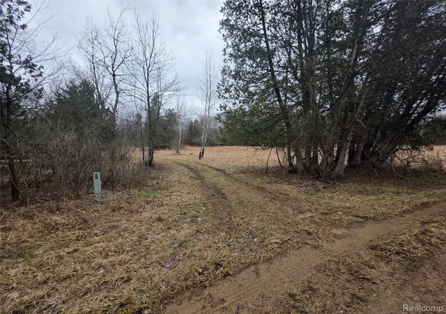 Photo 1 of Land for sale at 00 Martus Rd, North Branch Township Lapeer, MI 48446 | MLS# 20261023596 | Listing updated on 2026-07-08