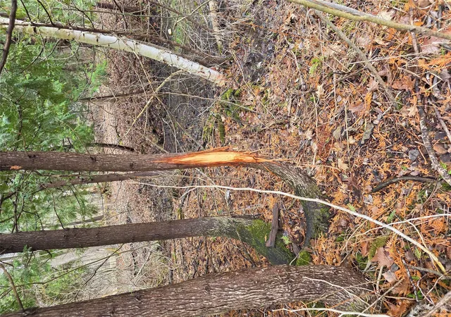 Photo 2 of Land for sale at 00 Martus Rd, North Branch Township Lapeer, MI 48446 | MLS# 20261023596 | Listing updated on 2026-07-08