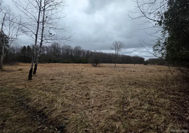 Photo 3 of Land for sale at 00 Martus Rd, North Branch Township Lapeer, MI 48446 | MLS# 20261023596 | Listing updated on 2026-07-08