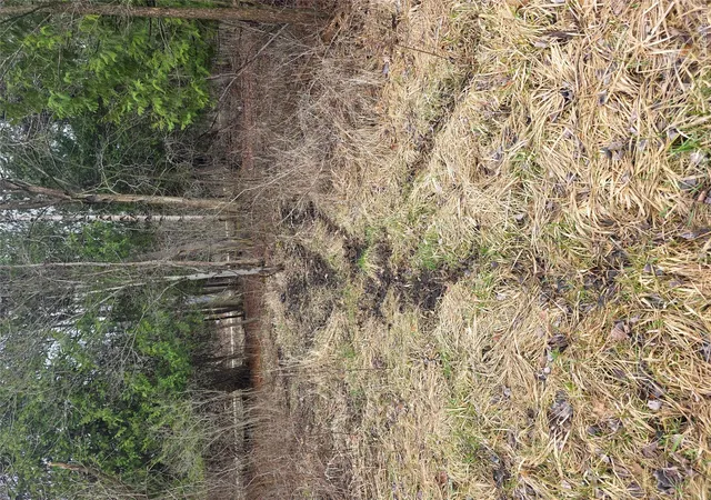 Photo 4 of Land for sale at 00 Martus Rd, North Branch Township Lapeer, MI 48446 | MLS# 20261023596 | Listing updated on 2026-07-08