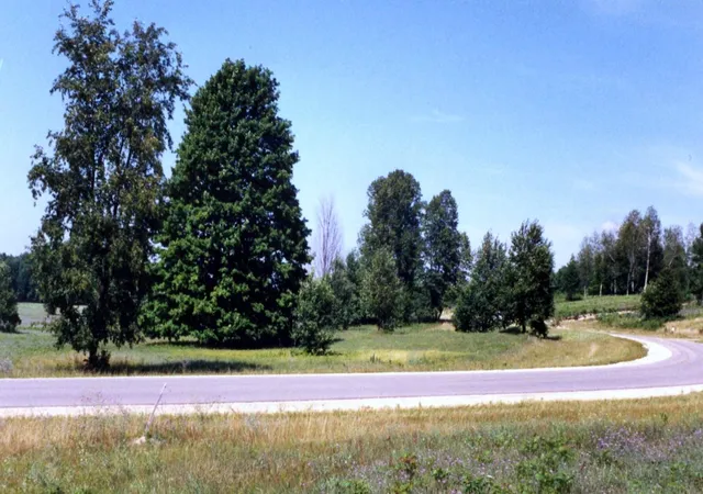 4th image of Lot 39 Alden Mdws, Alden, MI 49612 | MLS# 78080066764