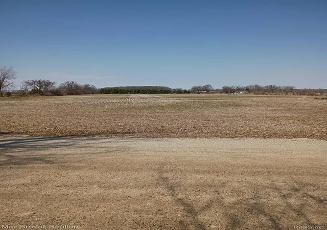Homes for sale in New Lothrop, MI | 000 Reed Rd, New Lothrop, MI 48460 | MLS# 20261024086