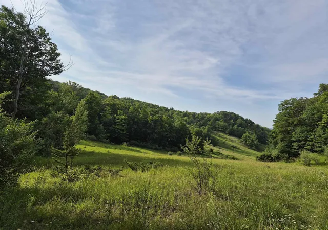 1st image of Lot A N Crossover Dr, Rapid City, MI 49676 | MLS# 78080066761