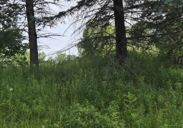 5th image of Lot A N Crossover Dr, Rapid City, MI 49676 | MLS# 78080066761