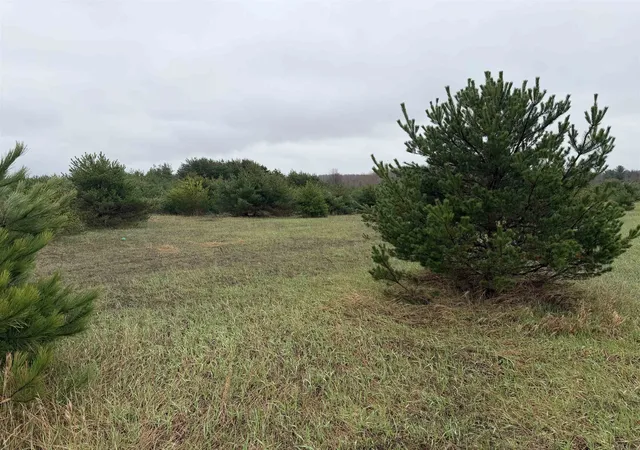 2nd image of Lot P E Sparling Rd, Kingsley, MI 49649 | MLS# 78080066848