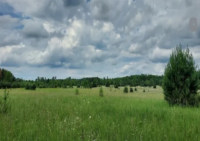 5th image of Lot P E Sparling Rd, Kingsley, MI 49649 | MLS# 78080066848
