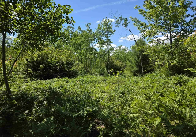Photo 3 of Land for sale at 80 Vl Mackinaw Trl, Haring Charter Township Wexford, MI 49601 | MLS# 78080066856 | Listing updated on 2026-07-13