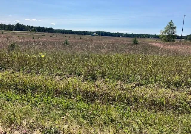 1st image of F Walton Rd, Kingsley, MI 49649 | MLS# 78080066874