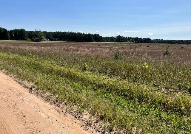 2nd image of F Walton Rd, Kingsley, MI 49649 | MLS# 78080066874