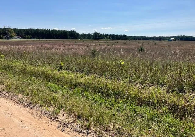 5th image of F Walton Rd, Kingsley, MI 49649 | MLS# 78080066874