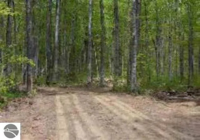 Homes for sale in Coldsprings Township Kalkaska, MI | 0 Cunningham Rd, Coldsprings Township Kalkaska, MI 49646 | MLS# 78080066928