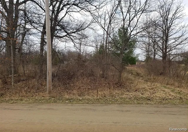 Photo 3 of Land for sale at 0000 Farmbrook Ln, Metamora, MI 48455 | MLS# 20261025353 | Listing updated on 2026-07-06