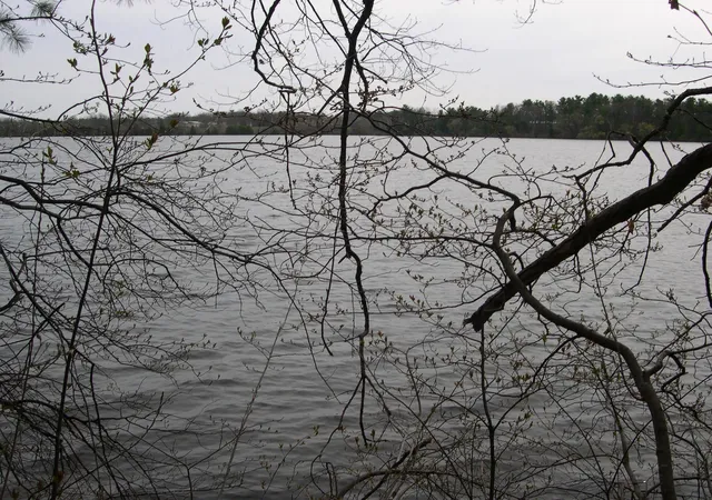 2nd image of 1573 Edgewater Rdg, Honor, MI 49640 | MLS# 78080066939