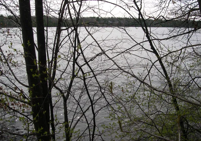 3rd image of 1573 Edgewater Rdg, Honor, MI 49640 | MLS# 78080066939