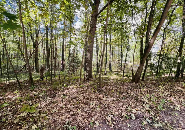 Photo 1 of Sale Pending at 00 North Blvd, Cadillac, MI 49601 | MLS# 78080066963 | Listing updated on 2026-09-12