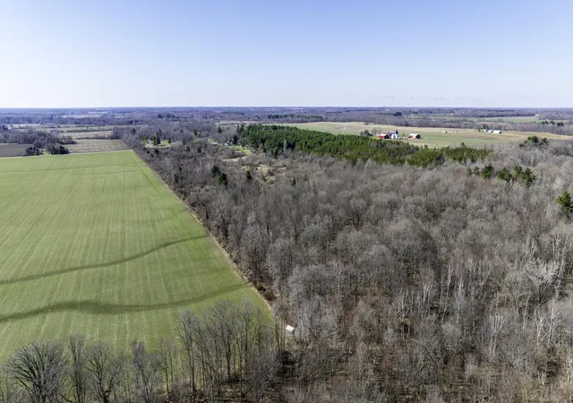 Homes for sale in Worth Township Sanilac, MI | Vl Mortimer Line Rd, Worth Township Sanilac, MI 48422 | MLS# 58050204485