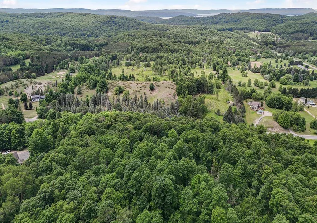 Photo 1 of Land for sale at V/l S Coleman Rd, Maple City, MI 49664 | MLS# 78080066993 | Listing updated on 2026-09-16