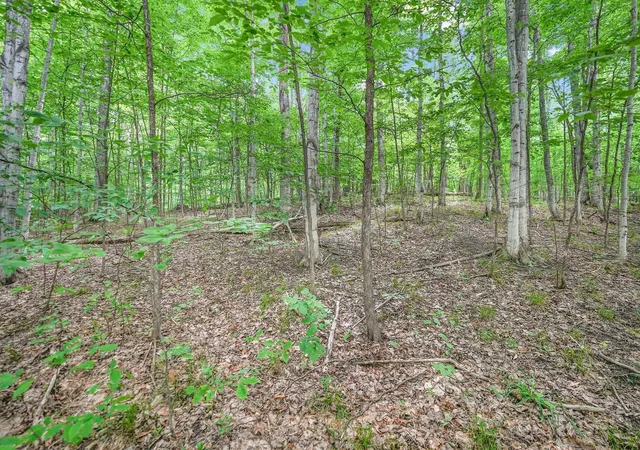 Photo 3 of Land for sale at V/l S Coleman Rd, Maple City, MI 49664 | MLS# 78080066993 | Listing updated on 2026-09-16