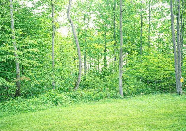 1st image of 8922 Cedar Creek Dr, Petoskey, MI 49770 | MLS# 78080067006