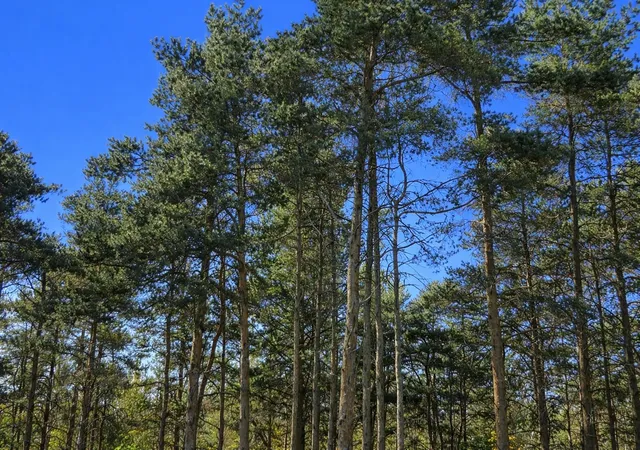 2nd image of 8922 Cedar Creek Dr, Petoskey, MI 49770 | MLS# 78080067006