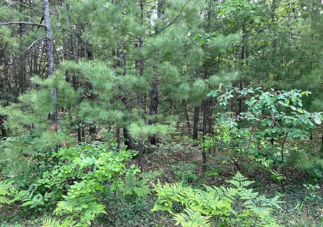 2nd image of Helen Dr, Grayling, MI 49738 | MLS# 78080067014