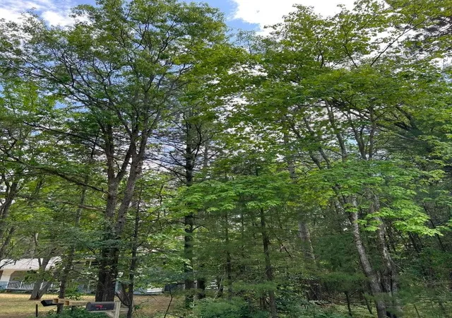 4th image of Helen Dr, Grayling, MI 49738 | MLS# 78080067014