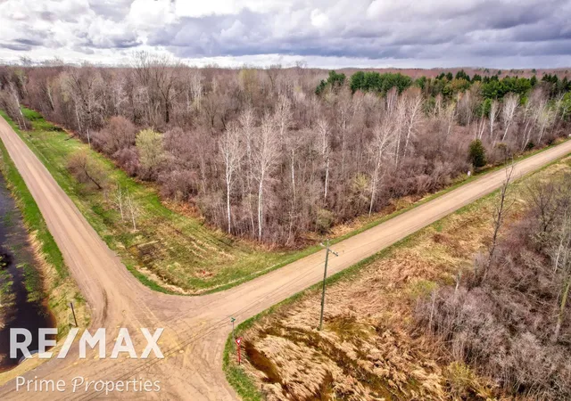 Photo 4 of Land for sale at 0000 S Plain & Curry Rd, Caro, MI 48723 | MLS# 5050204698 | Listing updated on 2026-04-18