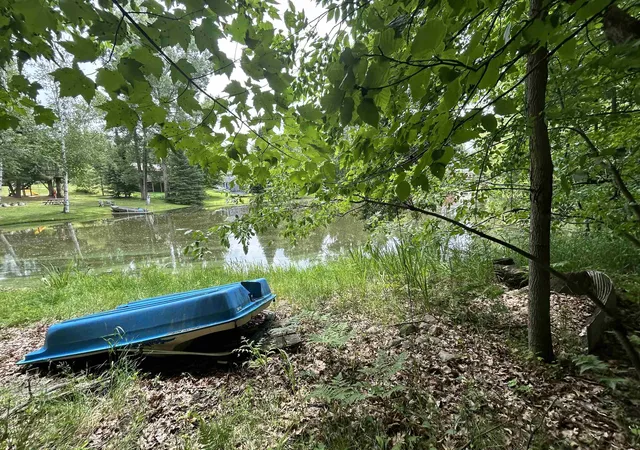 Photo 3 of Land for sale at Vl_173 E Caribou Trl, West Branch, MI 48661 | MLS# 77080067074 | Listing updated on 2026-07-01