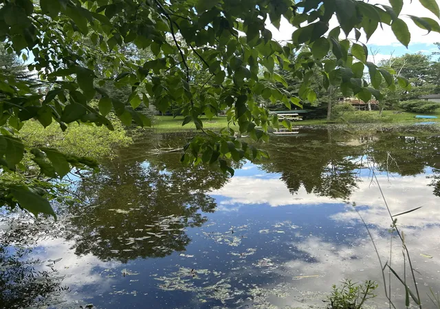 Photo 4 of Land for sale at Vl_173 E Caribou Trl, West Branch, MI 48661 | MLS# 77080067074 | Listing updated on 2026-07-01