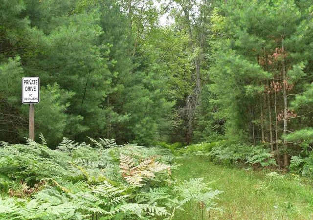 2nd image of Roop Rd, Kingsley, MI 49649 | MLS# 78080067083