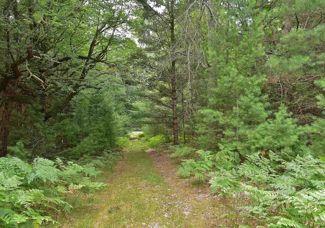 5th image of Roop Rd, Kingsley, MI 49649 | MLS# 78080067083