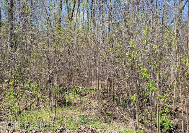 Photo 1 of Land for sale at 00 Vl Pady, Brighton, MI 48114 | MLS# 20261026899 | Listing updated on 2026-07-06