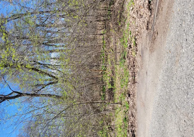 Photo 2 of Land for sale at 00 Vl Pady, Brighton, MI 48114 | MLS# 20261026899 | Listing updated on 2026-07-06