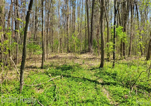 Photo 3 of Land for sale at 00 Vl Pady, Brighton, MI 48114 | MLS# 20261026899 | Listing updated on 2026-07-06