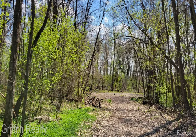Photo 3 of Land for sale at 00 Vl Pady, Brighton, MI 48114 | MLS# 20261026899 | Listing updated on 2026-07-06