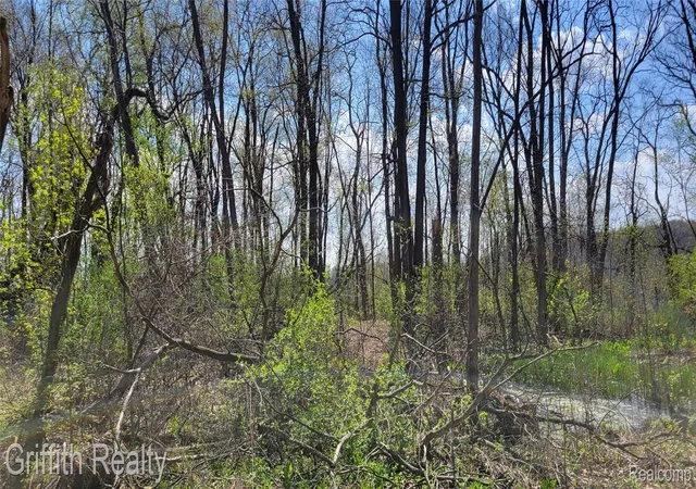 Photo 4 of Land for sale at 00 Vl Pady, Brighton, MI 48114 | MLS# 20261026899 | Listing updated on 2026-07-06