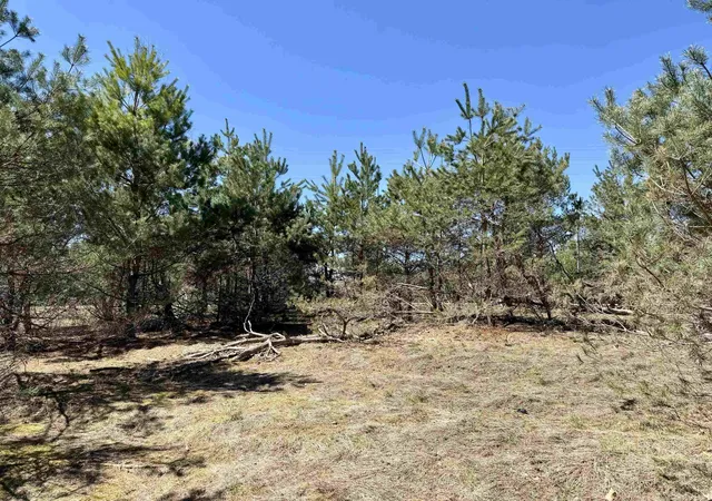3rd image of V/L Johnson Rd, Central Lake, MI 49622 | MLS# 78080067136