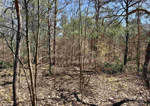 4th image of V/L Johnson Rd, Central Lake, MI 49622 | MLS# 78080067136